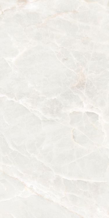 Brasilia White Matte 12 x 24